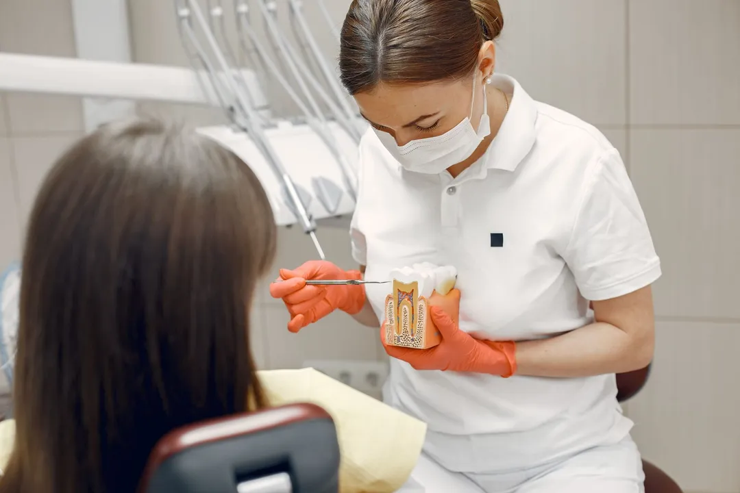 Medic care îi arată unei paciente o coroană dentară pe un model